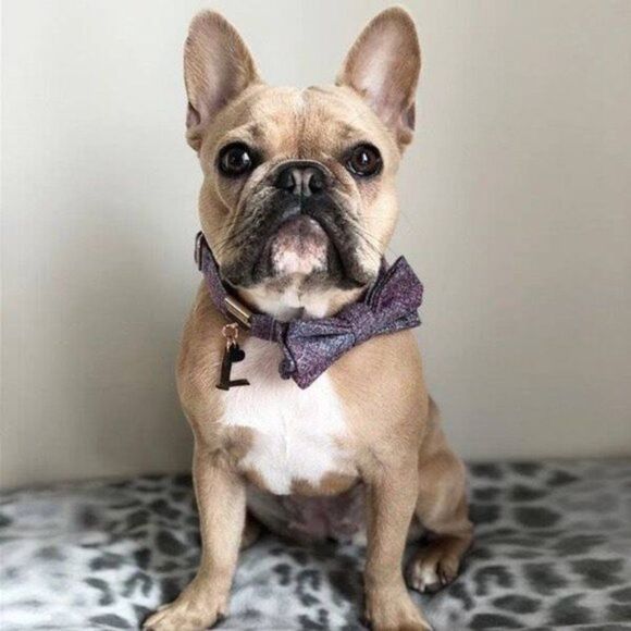 𝅺BRKLZ Set of 3 Pendent Z/L/Swarovski Crystal - Picture 10 of 12